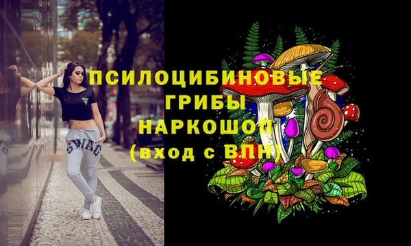 МДПВ Белокуриха