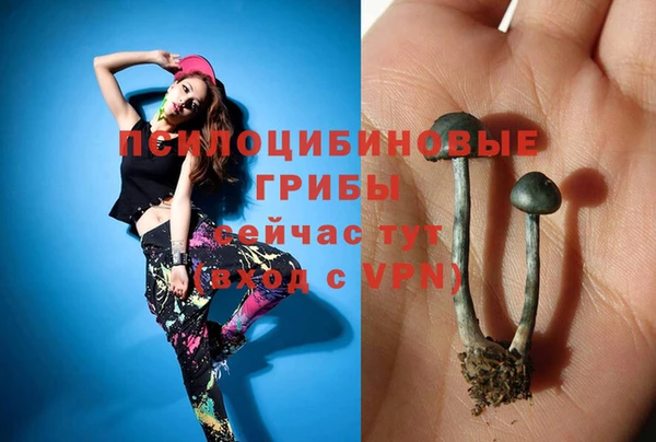 МДПВ Белокуриха