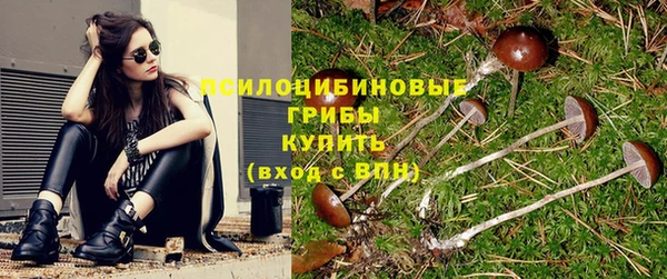 МДПВ Белокуриха