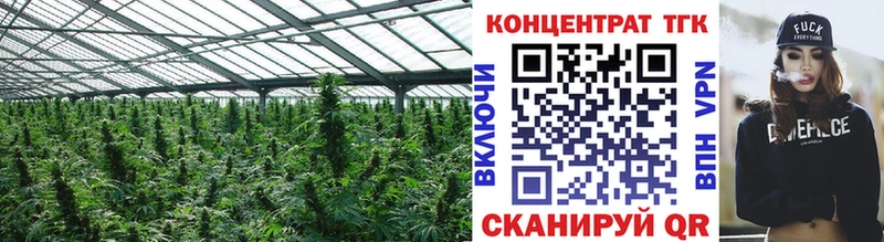 купить   Выборг  Дистиллят ТГК концентрат 