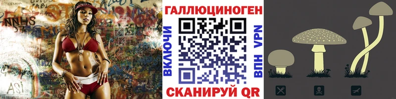 Галлюциногенные грибы Psilocybine cubensis  закладка  omg как войти  Выборг 